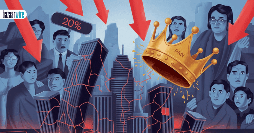 investors shocked by pan 2.0 rejection protean egov